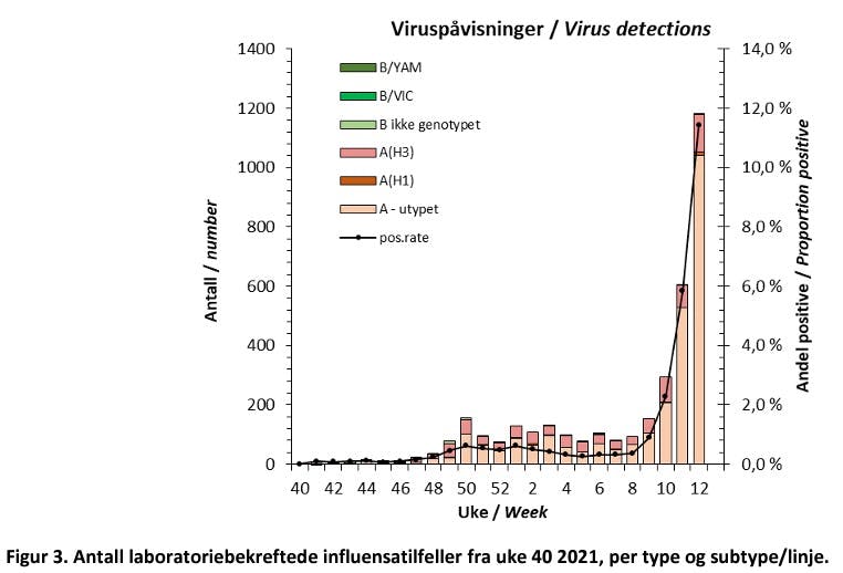 Influensa undertyper uke 12